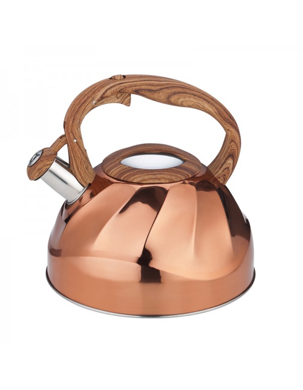 Stainless Steel 201 Whistling Water Kettle Teapot 3L Capacity RL-WK002
