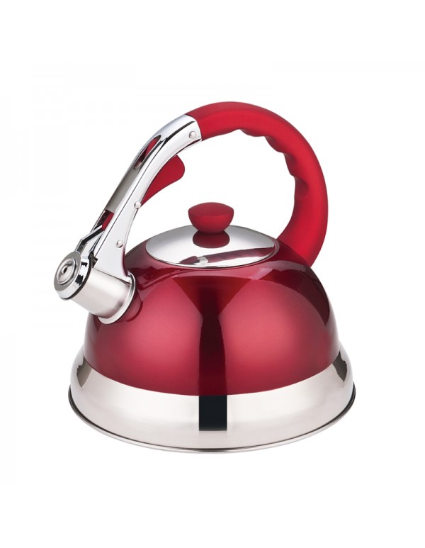Stainless Steel 201 Whistling Water Kettle Teapot 3L Capacity RL-WK008