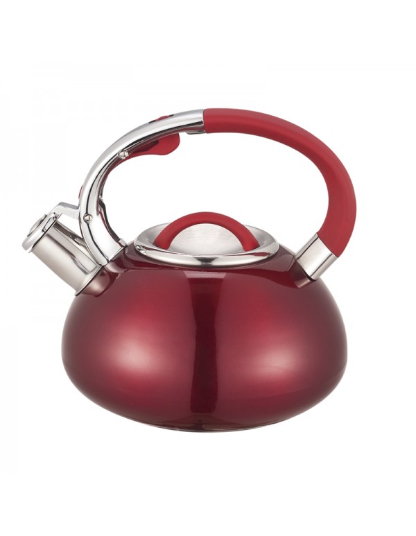Stainless Steel 201 Whistling Water Kettle Teapot 2.5L/3L Capacity RL-WK012