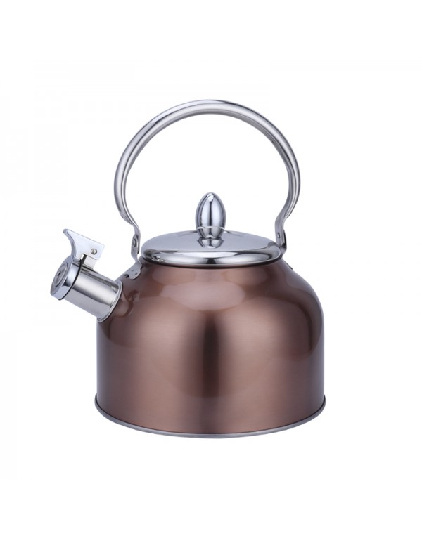 Stainless Steel 201 Whistling Water Kettle Teapot 3L Capacity RL-WK032