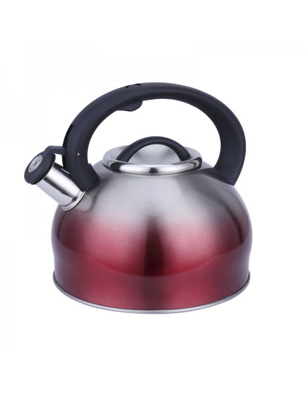 Stainless Steel 201 Whistling Water Kettle Teapot 3L Capacity RL-WK033