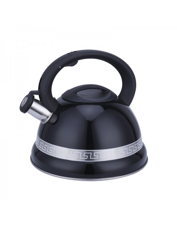 Stainless Steel 201 Whistling Water Kettle Teapot 3L Capacity RL-WK034