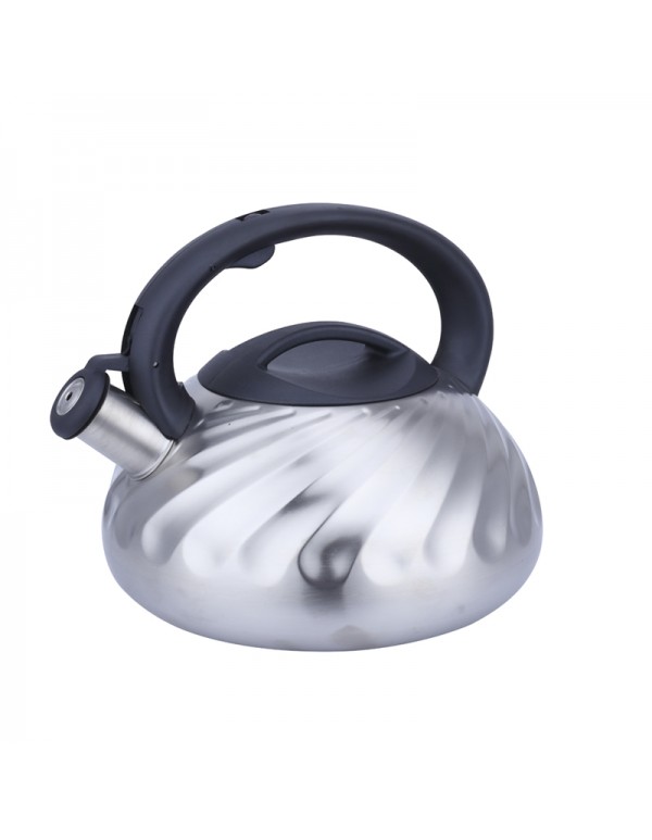 Stainless Steel 201 Whistling Water Kettle Teapot 3L Capacity RL-WK035