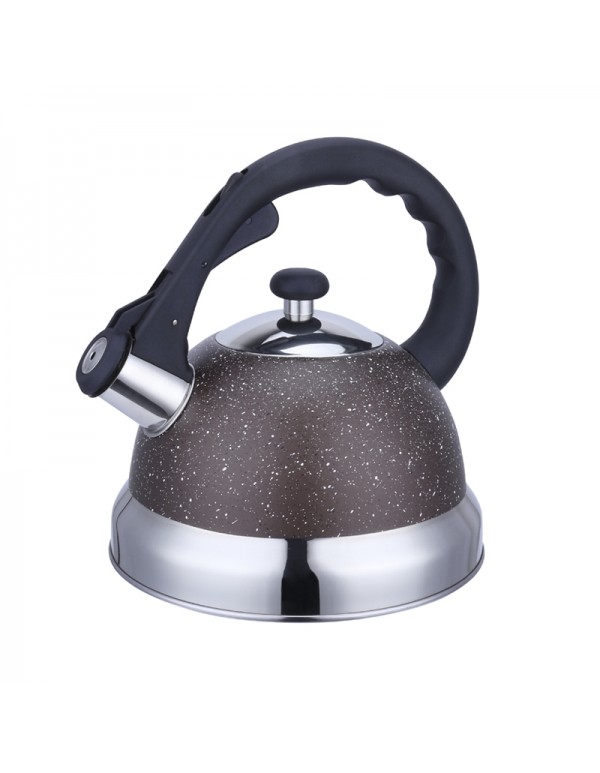 Stainless Steel 201 Whistling Water Kettle Teapot 3L Capacity RL-WK039